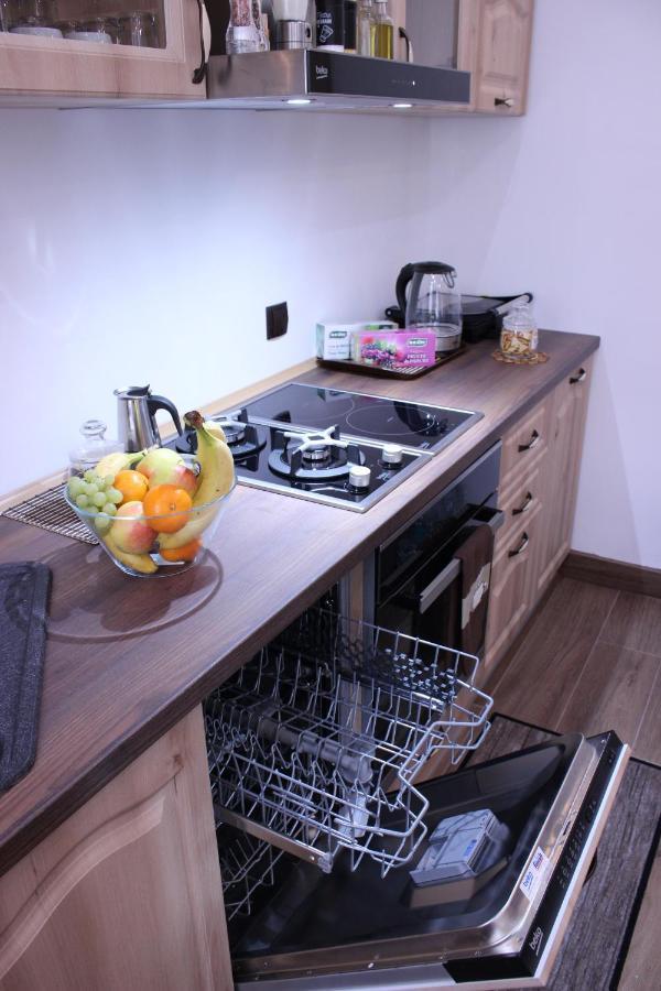 Ella Apartment Timisoara No11 Dış mekan fotoğraf