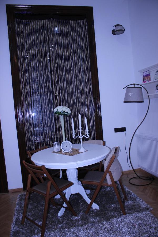Ella Apartment Timisoara No11 Dış mekan fotoğraf